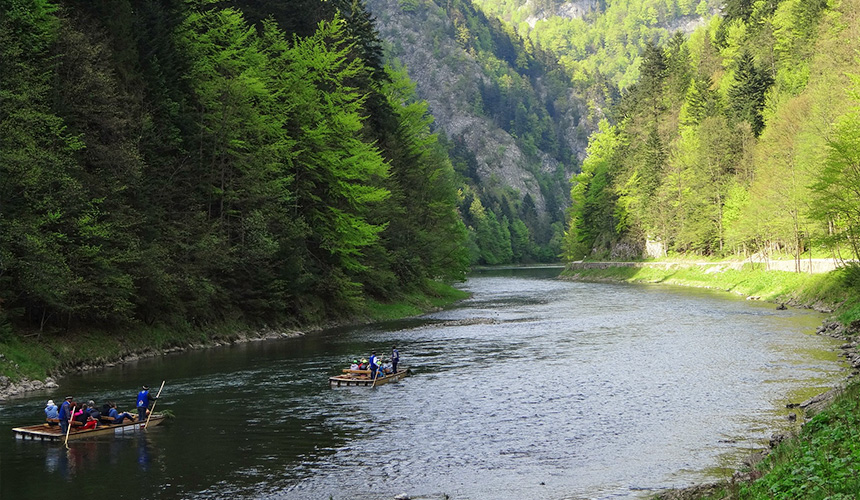 Raft trips through the Gorge of Dunajec River